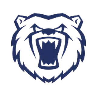 Warwickshire Bears Women