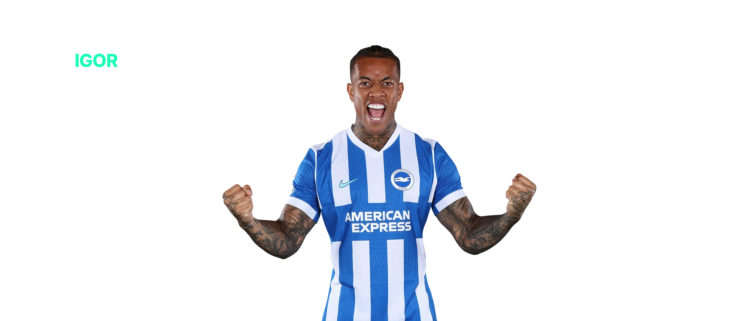 Igor Julio dos Santos de Paulo