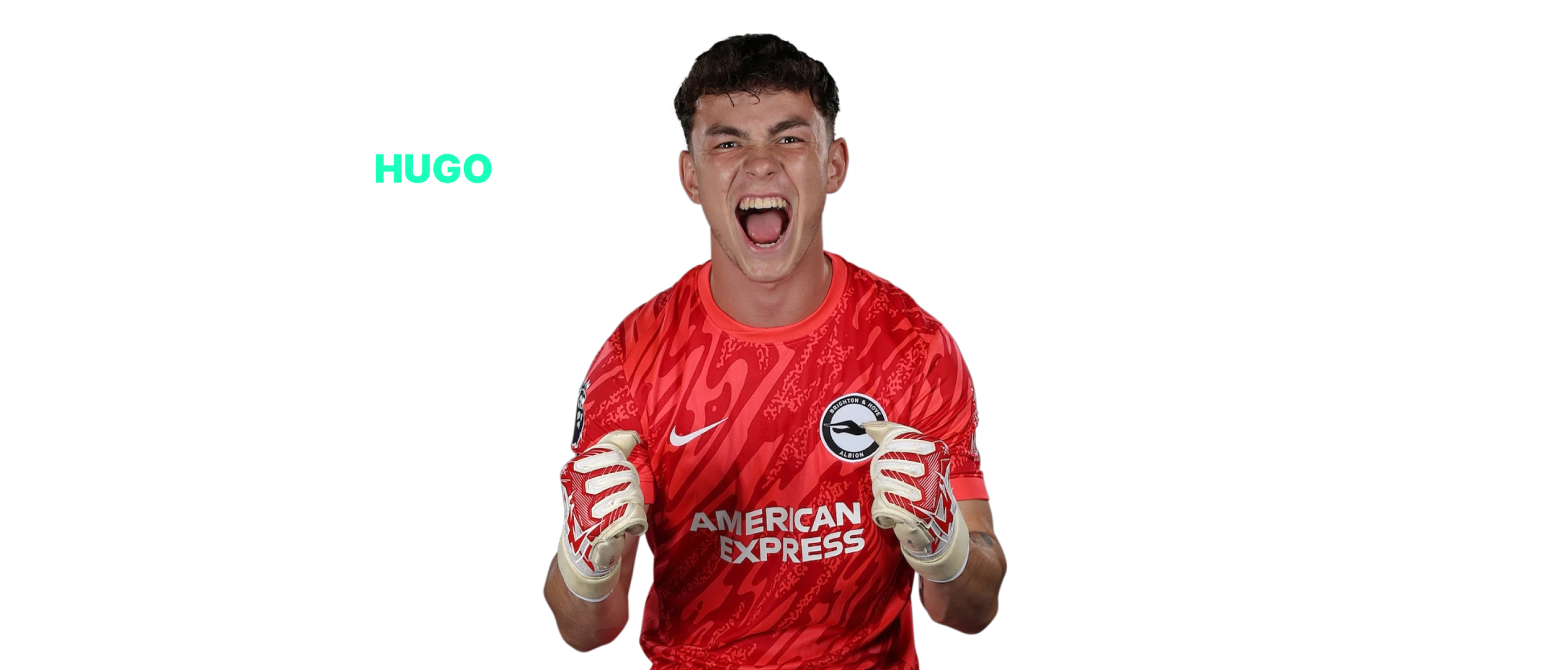 Hugo Fisher