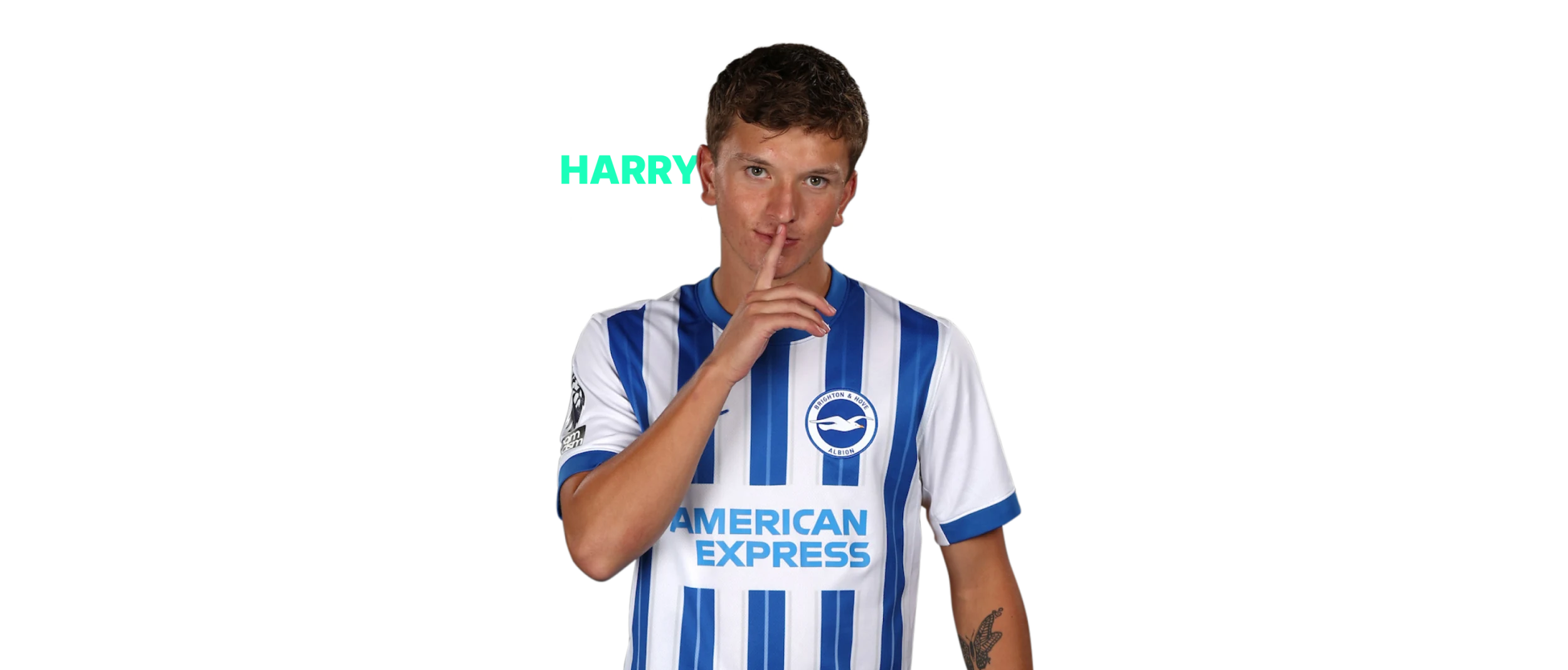 Harry Lee