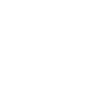 Swansea City