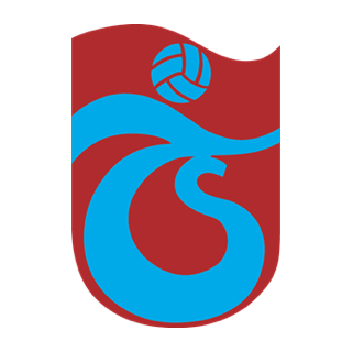 TeamLogo