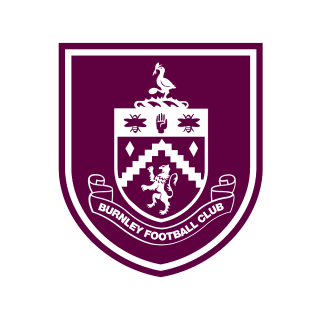 TeamLogo