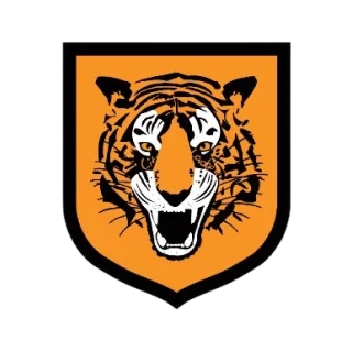 Hull City Ladies